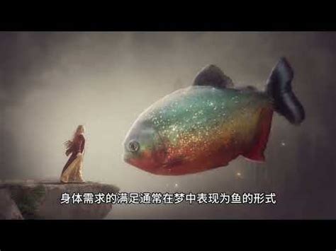 夢見魚缸有魚|解密：魚缸夢的6個寓意